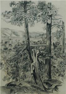 212x300 Antique Original Pencil Drawing Of Forest Landscape Looking Over A - Forest Pencil Sketch
