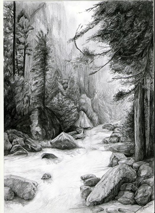 524x720 Drawn Pencil Forest - Forest Pencil Sketch