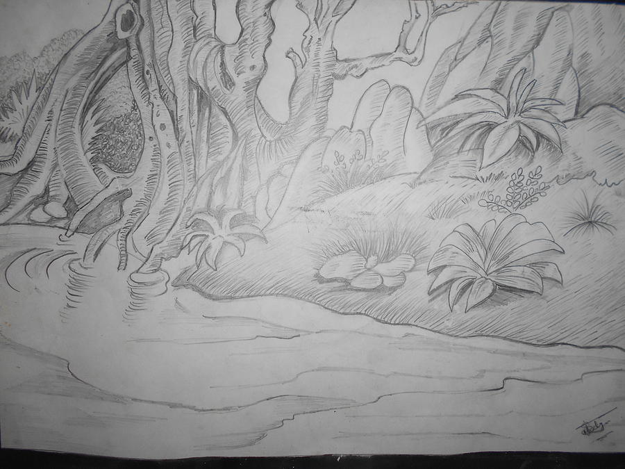 900x675 Forest Scene Drawing By Shaktiraj Jadeja - Forest Scene Sketch