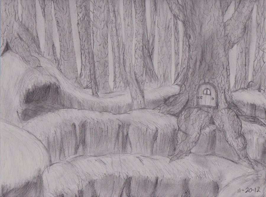 900x668 Forest Scene By Sparkling Burrito95 - Forest Scene Sketch
