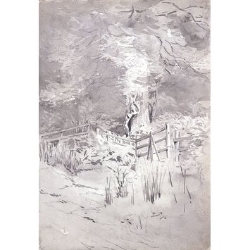 355x355 Forest Scene Near Keswick Potter, Beatrix Vampa Search The - Forest Scene Sketch