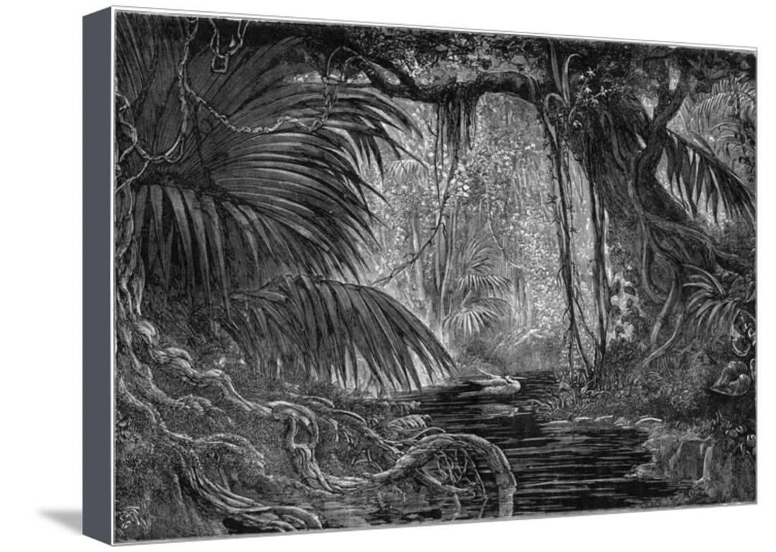 Forest Scene Sketch at PaintingValley.com | Explore collection of ...