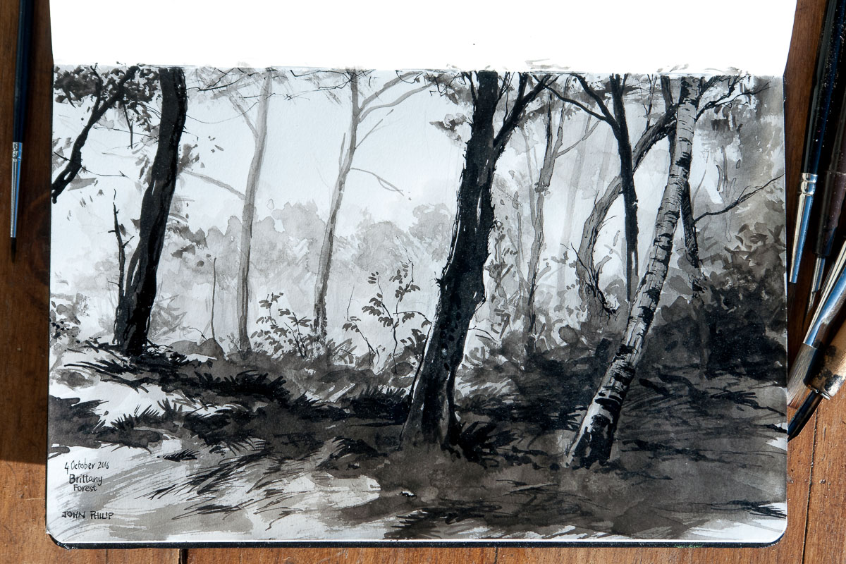 1200x800 Pen, Brush And Ink Drawing Of Forest Scene In Brittany, France - Forest Scene Sketch