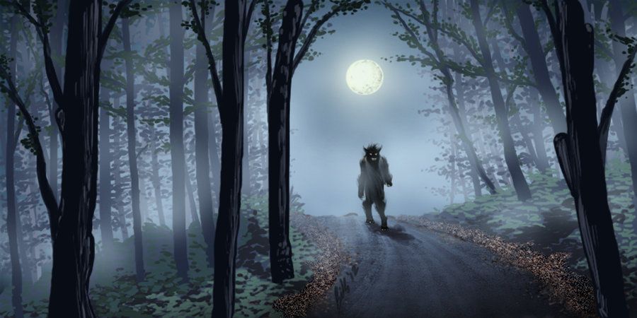 900x450 Night Forest Scene Dark Forest Werewolf Scene Sketch By - Forest Scene Sketch