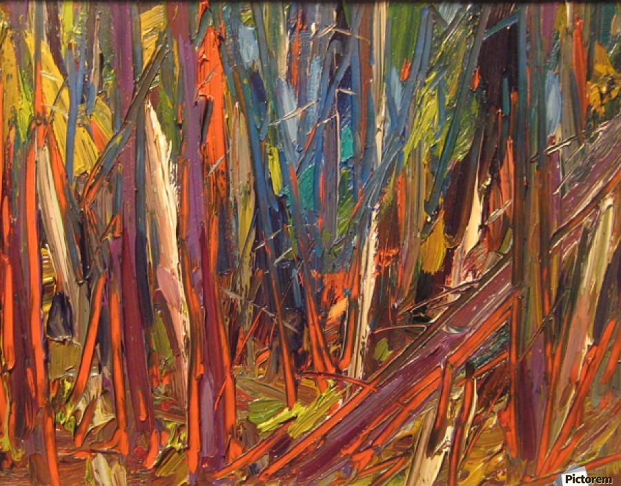 900x705 Forest Sketch, Northern Ontario - Forest Sketch