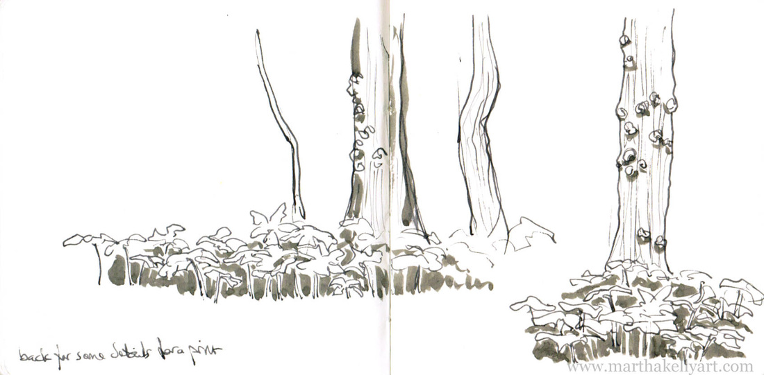 1100x541 Forest Sketching, Part 2 - Forest Sketch
