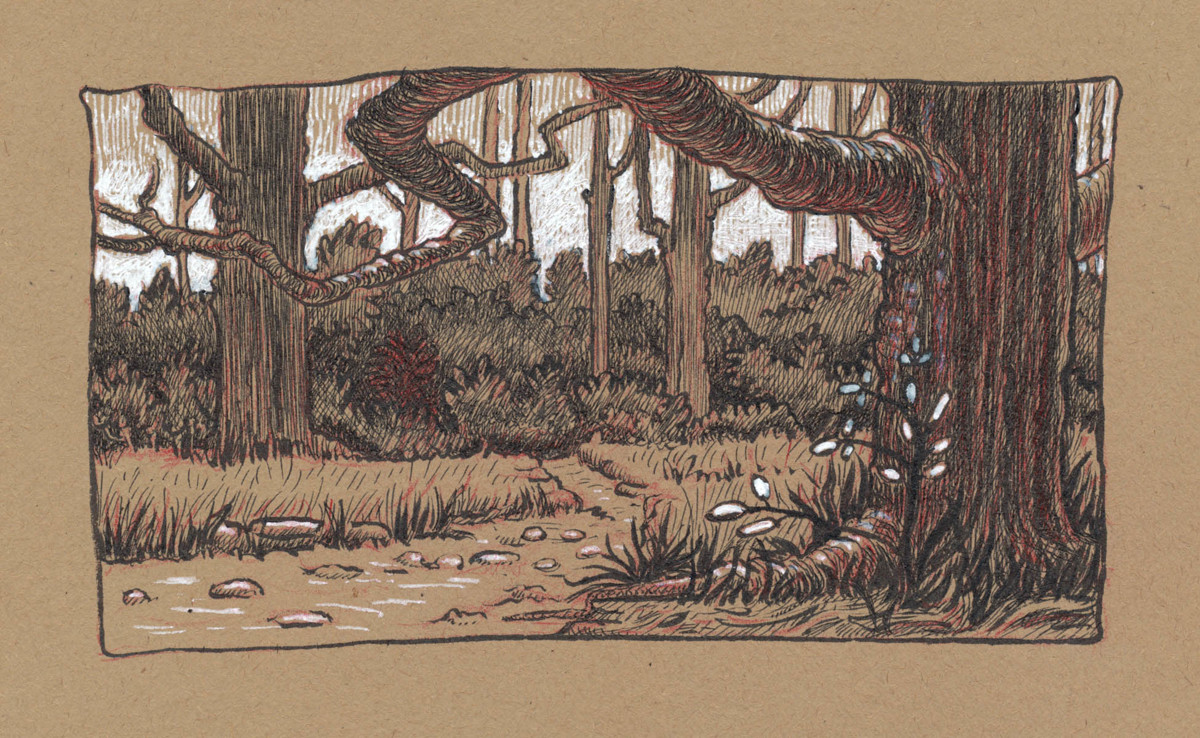 1200x738 Forest Sketch - Forest Sketch