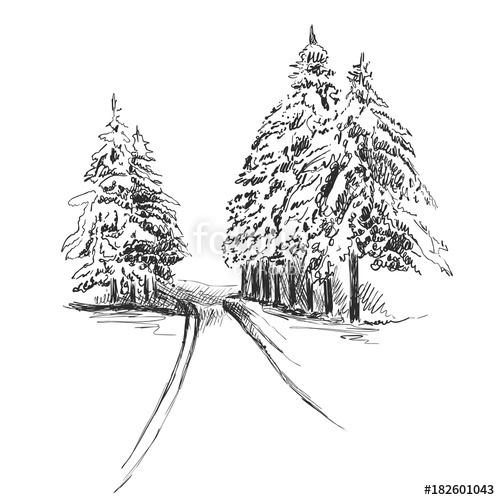 500x500 Nature In The Forest Sketch. Winter Landscape And Christmas Tree - Forest Sketch