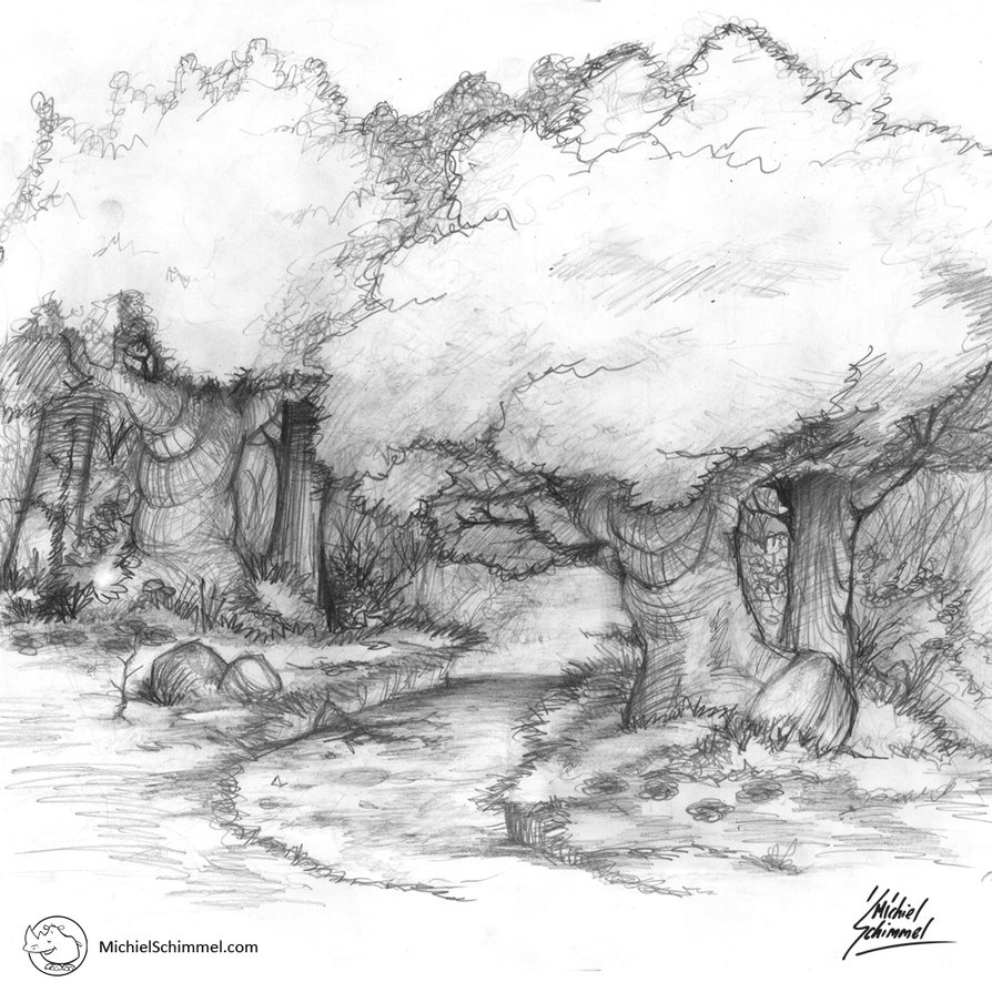 894x894 Photos Forest Pencil Sketch, - Forest Sketch