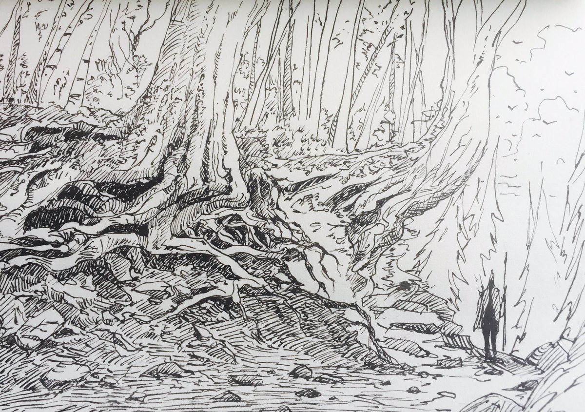 1200x845 Raphael Lacoste On Twitter Sketching - Forest Sketch