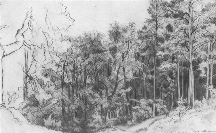 750x464 Deciduous Forest, 1873 - Forest Sketch