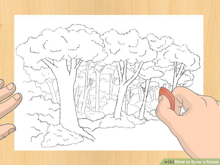 728x546 3 Ways To Draw A Forest - Forest Sketch Drawing