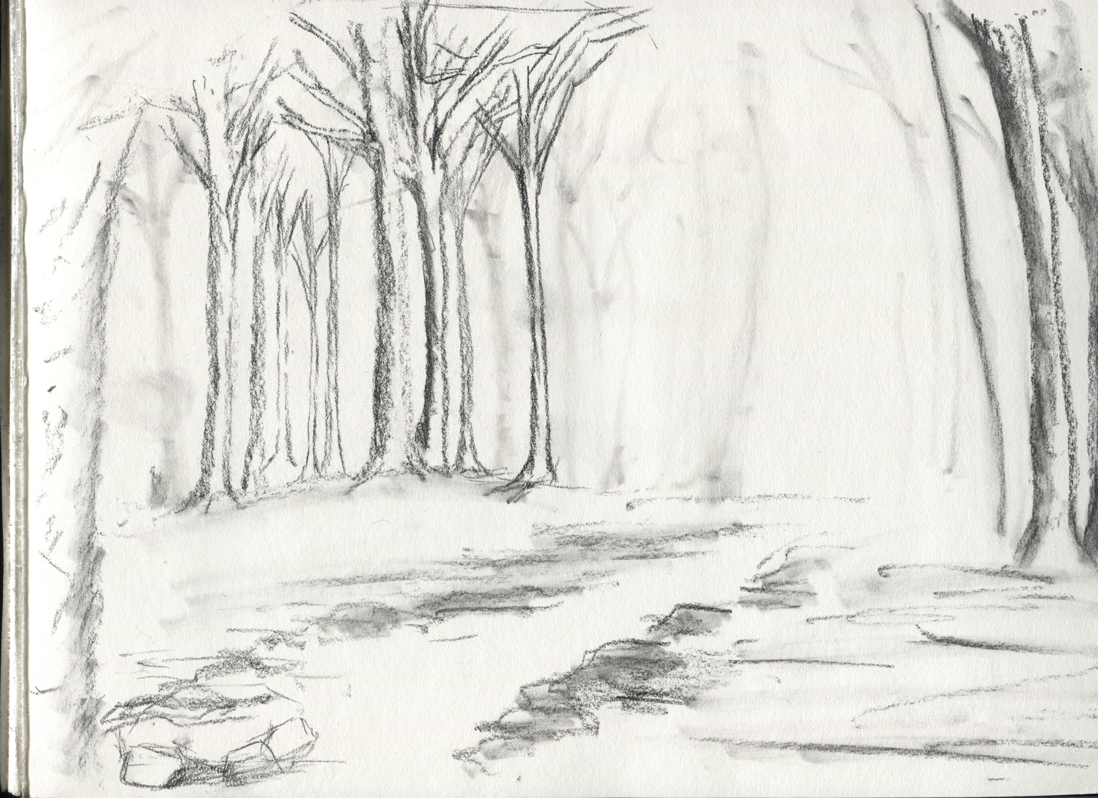3510x2550 Evening Mist Forest Sketch Lightsings - Forest Sketch Drawing