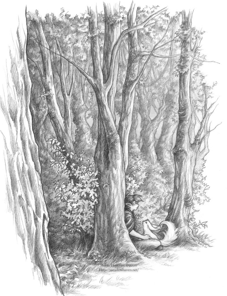 Forest Sketch Drawing at Explore collection of