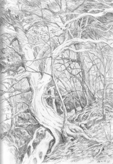 375x543 Forest Sketch Drawing By Wouter Florusse Saatchi Art - Forest Sketch Drawing