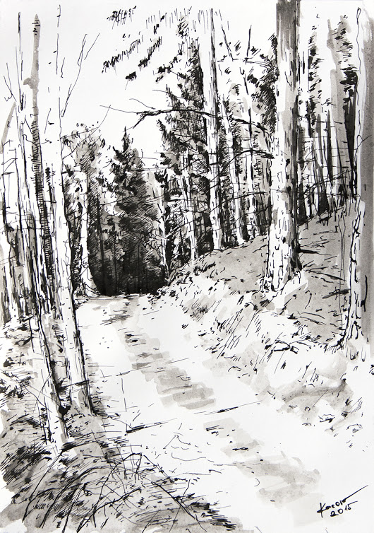 530x754 Forest. Live Sketch By Radim Kacer 2015. - Forest Sketch Drawing