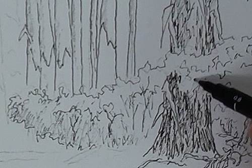 500x333 How To Paint Bluegum Trees In Forest In Watercolor Online Art - Forest Sketch Drawing