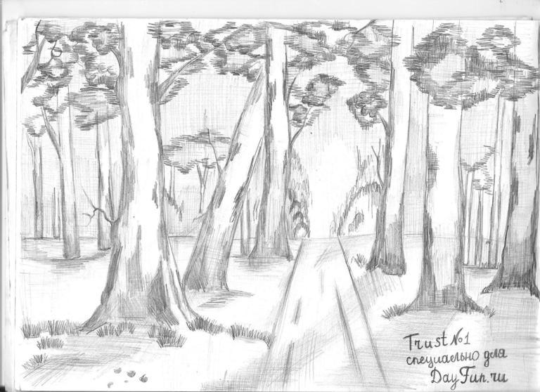 768x558 How To Draw Forest Step By Step - Forest Sketch Drawing