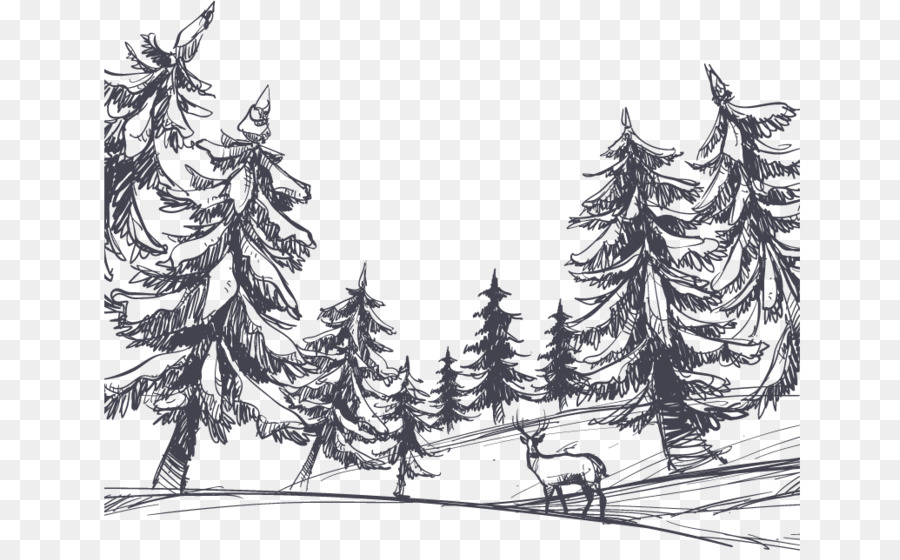 900x560 Drawing Shulin District - Forest Sketch Drawing