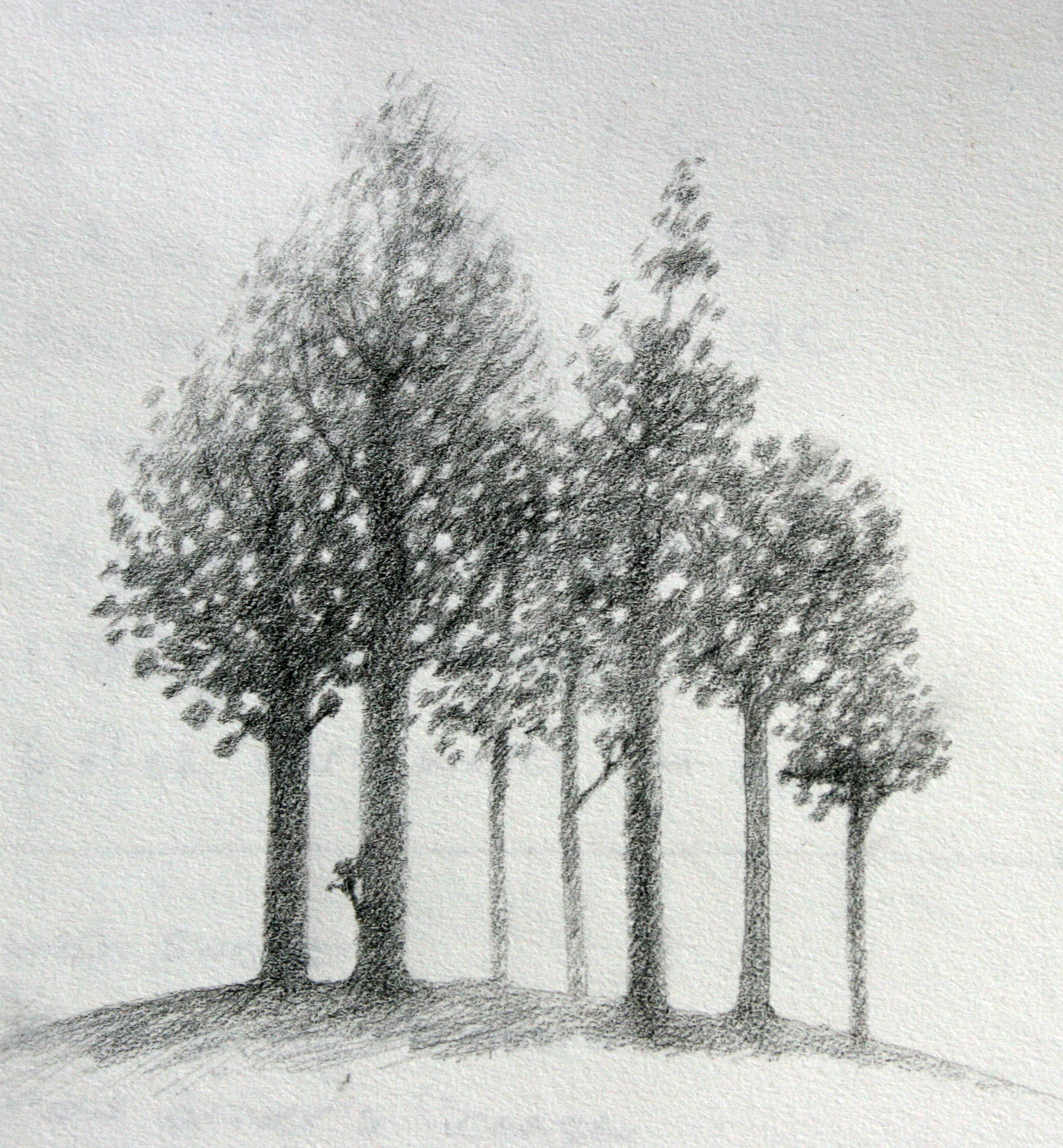 Пейзаж с деревьями карандашом легкий