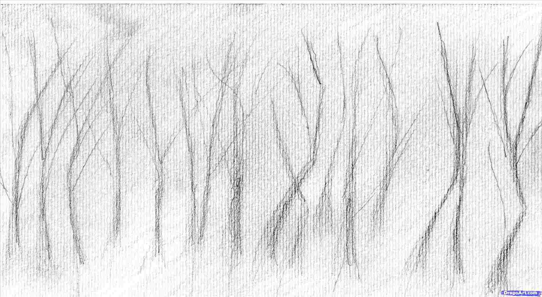 1899x1041 Forest Sketch Landscape Draw Wikihow Picturesque Www - Forest Sketch Easy