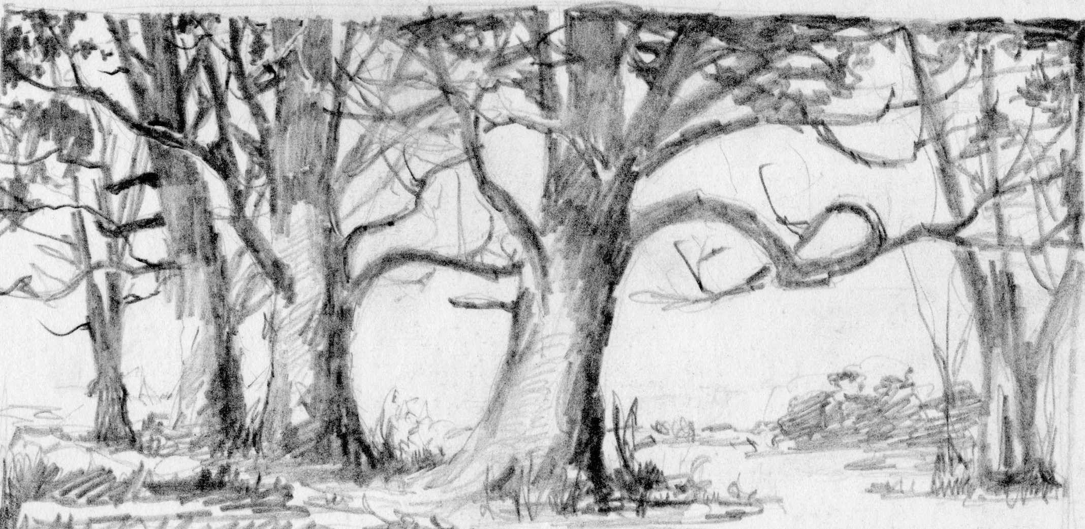 Forest Sketch Easy at PaintingValley.com | Explore collection of Forest