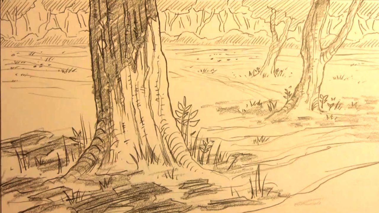 1280x720 How To Draw Forest Backgrounds For Manga - Forest Sketch Easy
