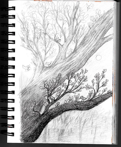 494x600 Forest Sketches 2 And 3 Too Much White Paper - Forest Sketch Images