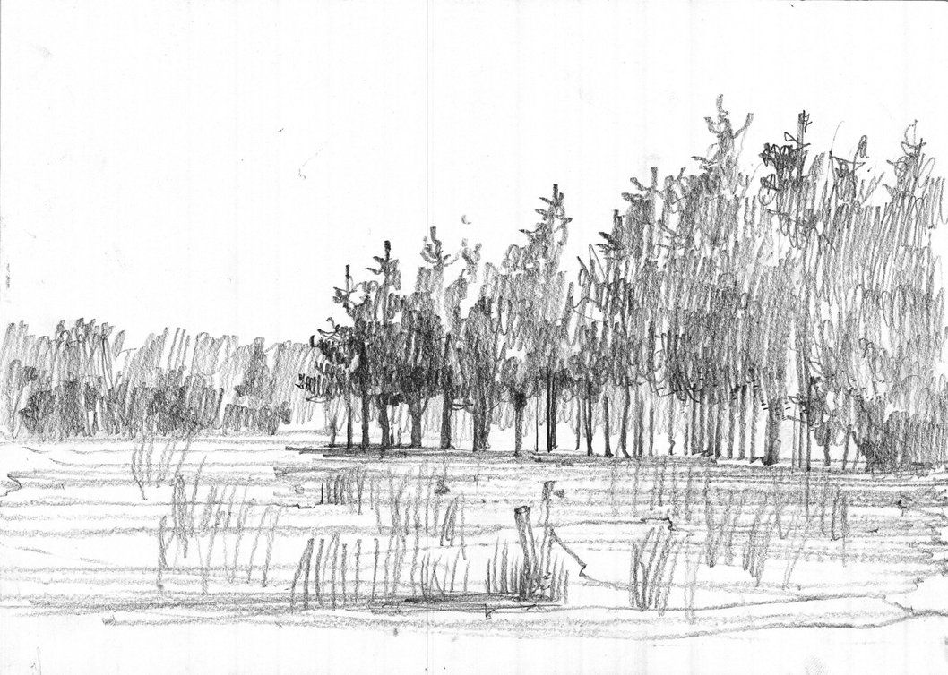 1058x754 New Forest Sketch. By Krystianwozniak - Forest Sketch Images