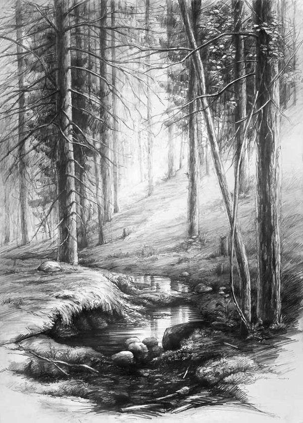 600x836 Forest Interior By Hipiz Drawings With Pencils - Forest Sketch Images