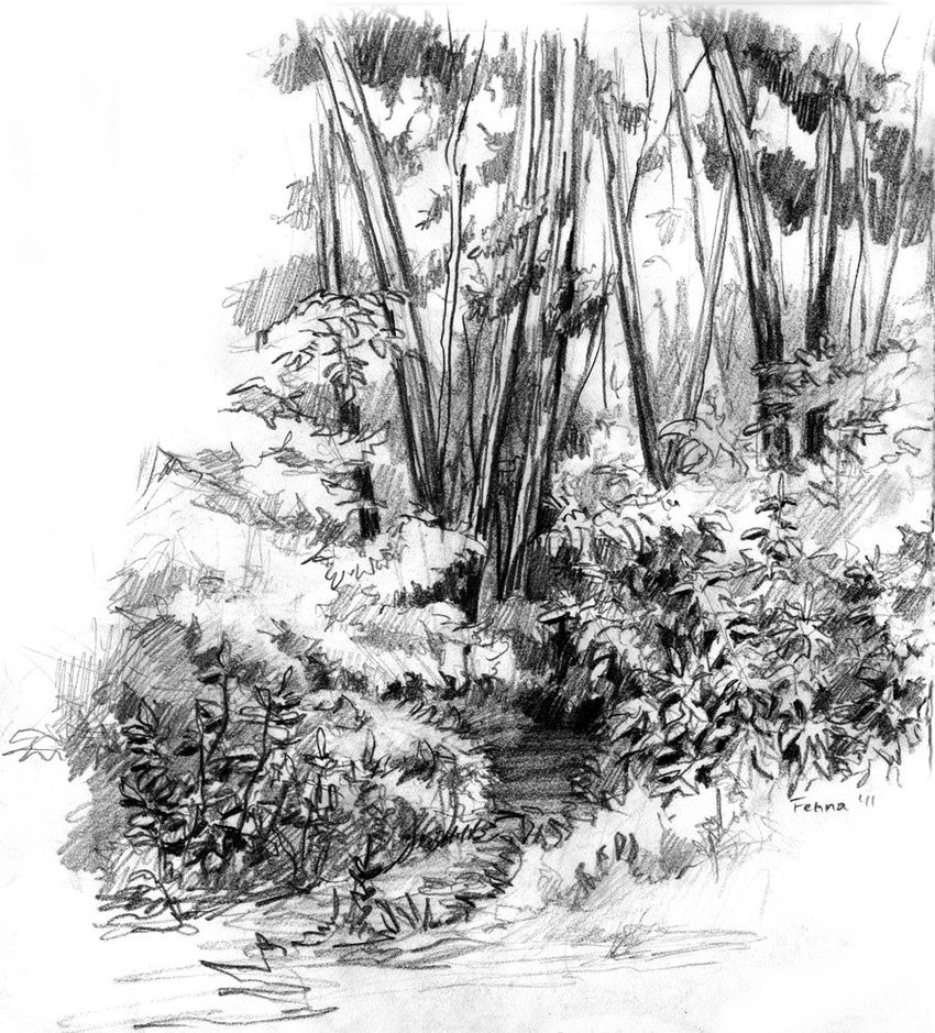 850x939 Forest Sketch By Fenna Maruda - Forest Sketch Images
