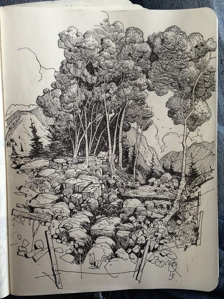 736x981 Sketchbook Forest - Forest Sketch Images