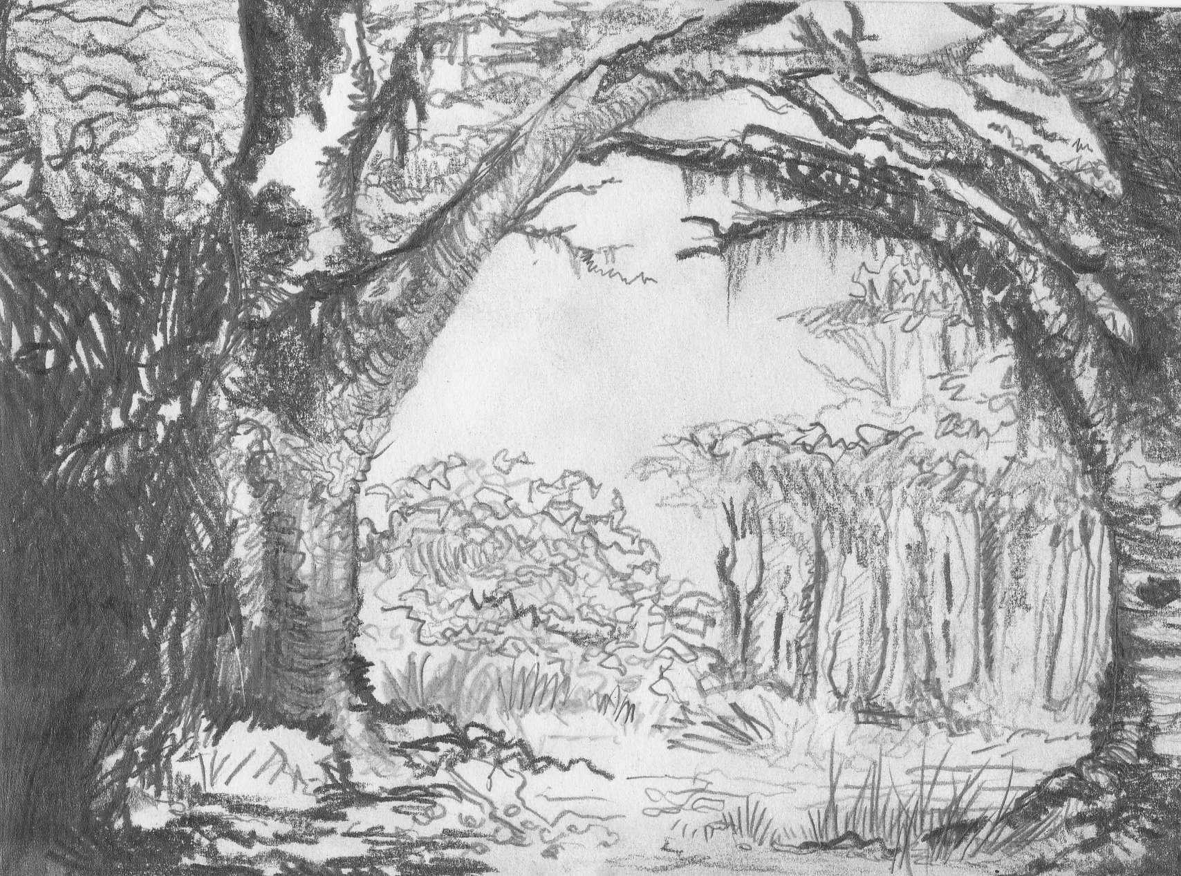 1708x1268 Artstation - Forest Sketch Images