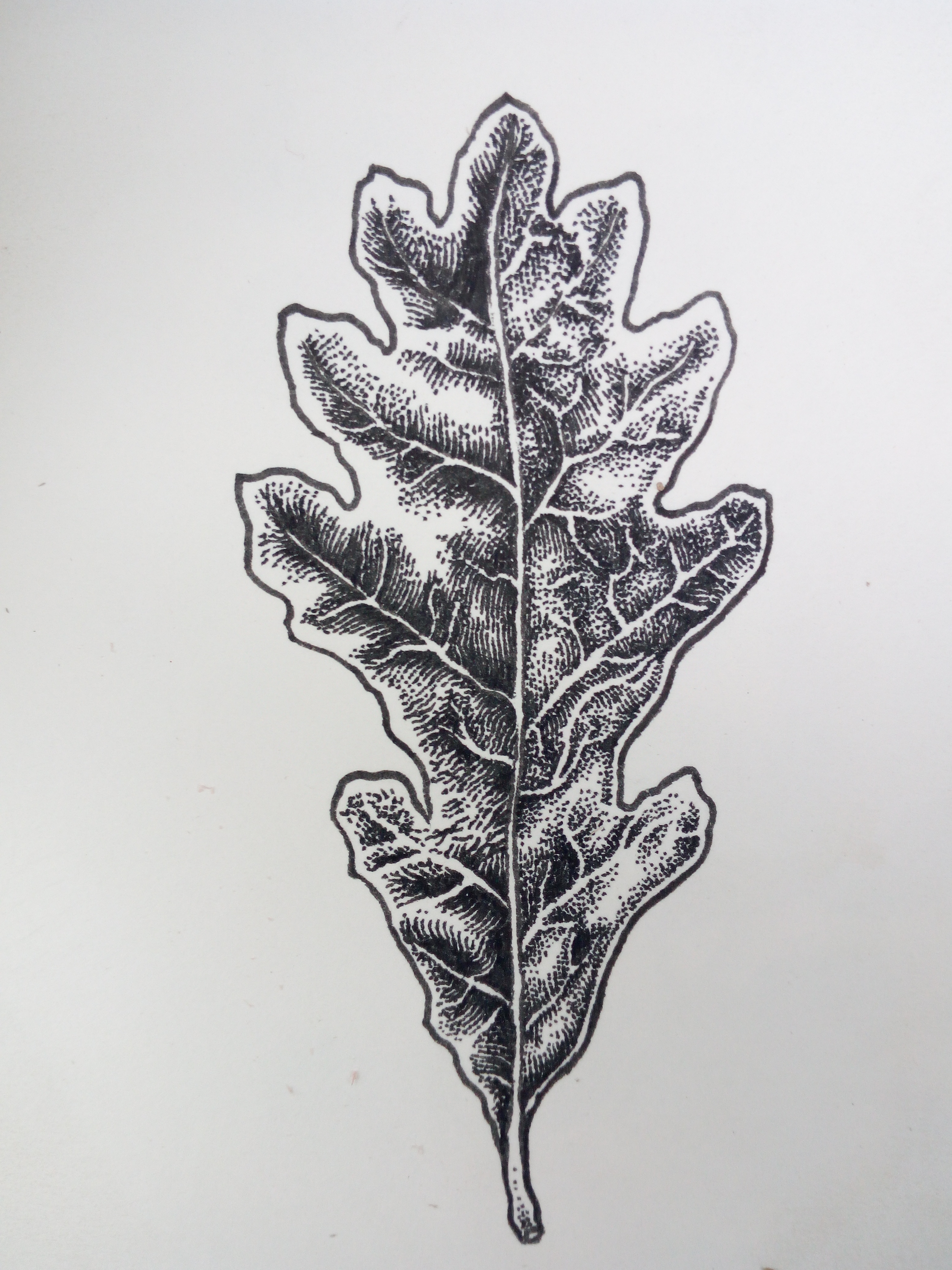 3120x4160 Bipede A.k.a. Ucee The Woods Voodoo Tattoo London Benefit For Forest - Forest Tattoo Sketch