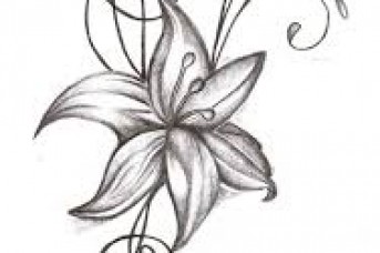 343x228 Forget Me Not Flower Tattoo Designs - Forget Me Not Flower Sketch