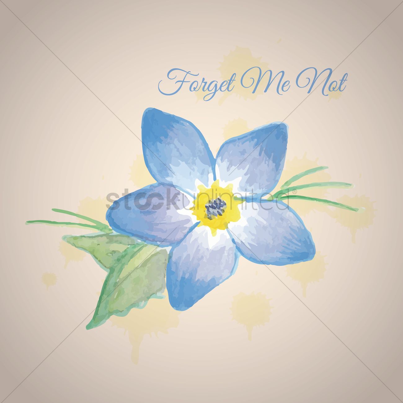 1300x1300 Forget Me Not Flower Vector Image - Forget Me Not Flower Sketch