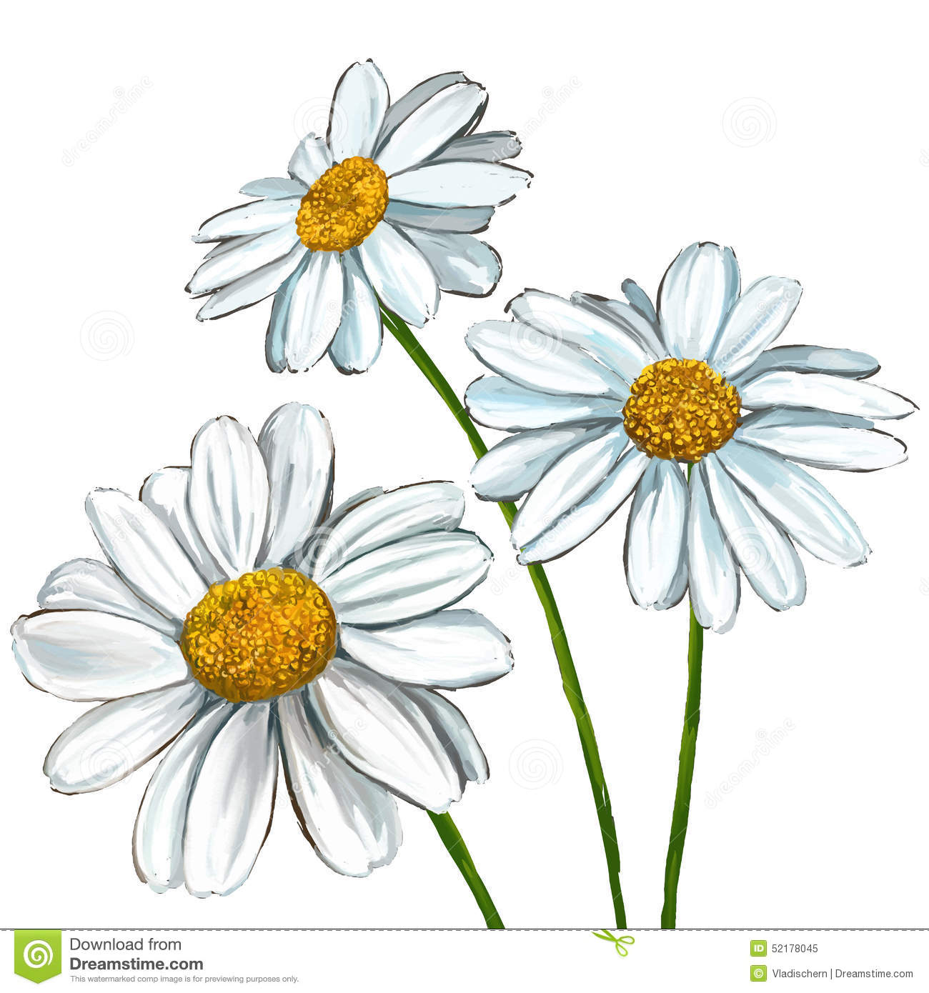 1300x1390 Drawn Daisy Forget Me Not Flower Free Collection Download And - Forget Me Not Flower Sketch