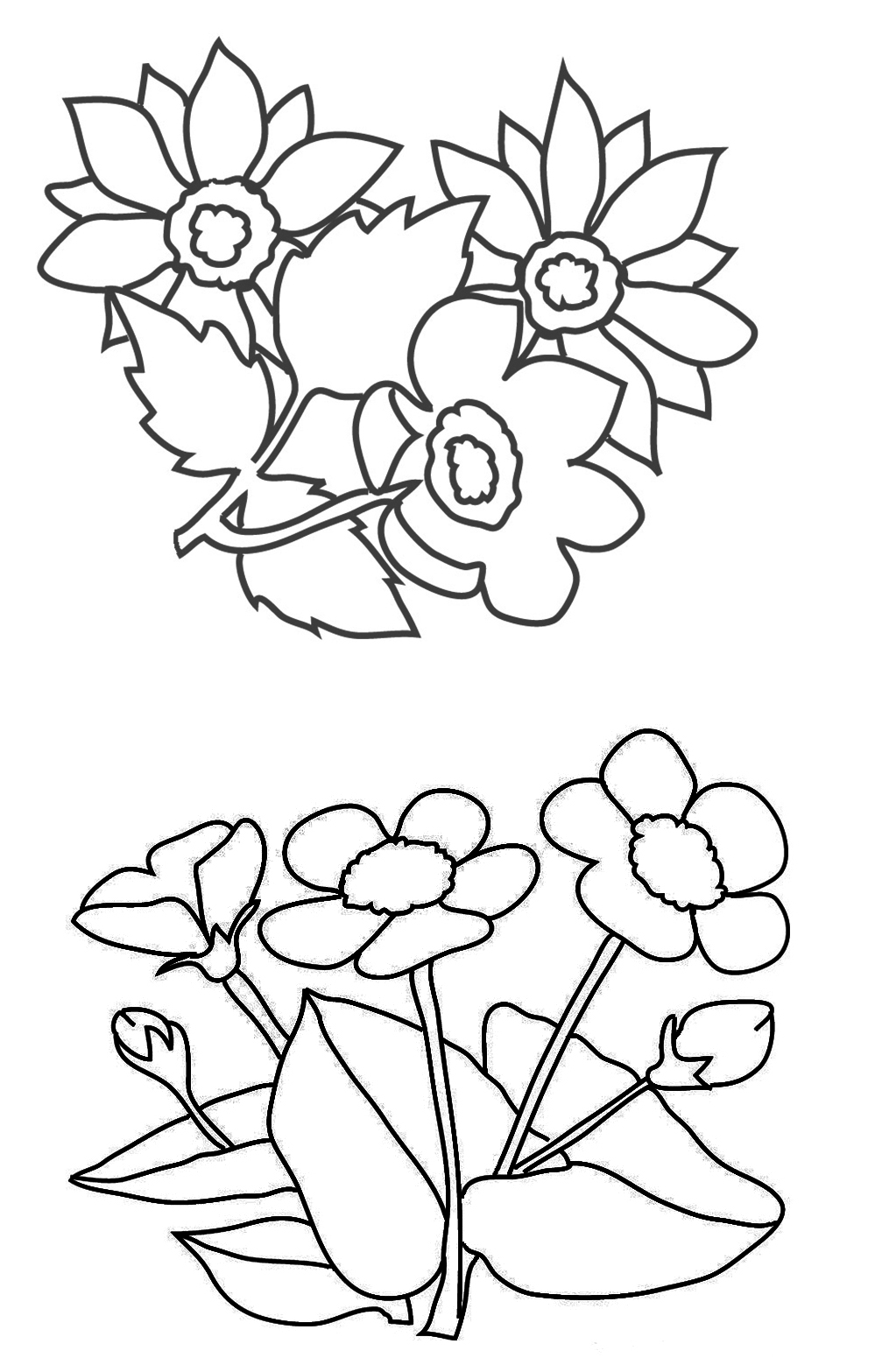 999x1567 Flower Coloring Pages - Forget Me Not Flower Sketch