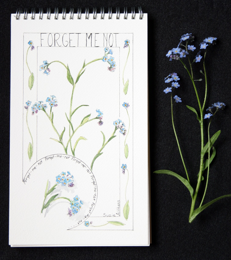 758x851 Forget Me Not Sketch Creating In Alaska - Forget Me Not Sketch