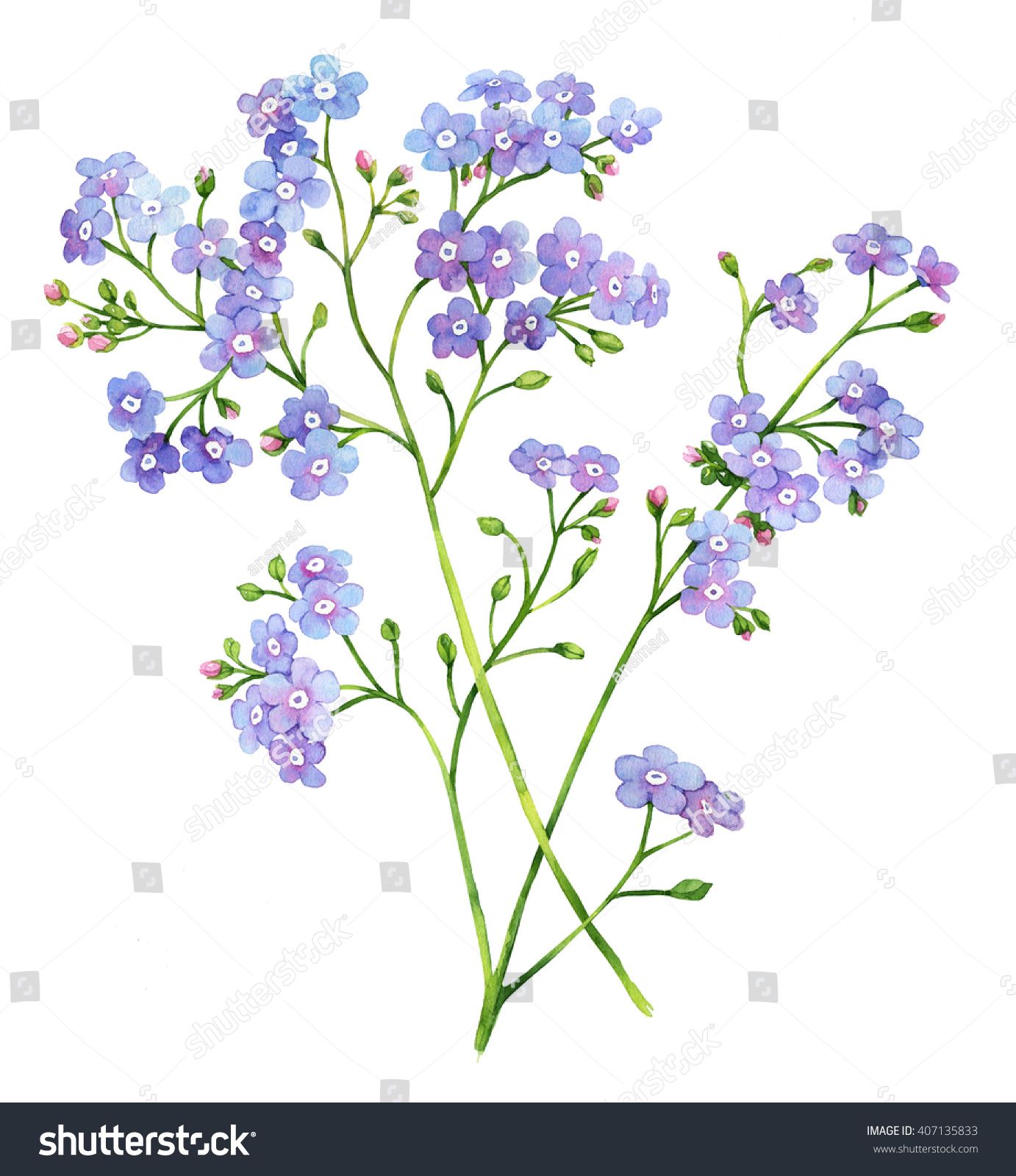 1382x1600 Kartinki Po Zaprosu Forget Me Not Sketch Art In 2018 - Forget Me Not Sketch