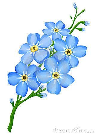 318x450 Myosotis Tattoos Tattoos, Forget Me Not And Forget - Forget Me Not Sketch