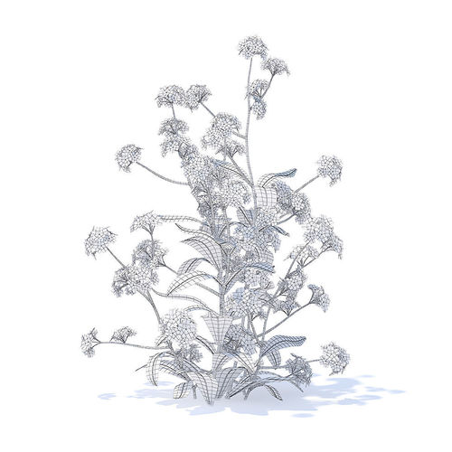 500x500 Woodland Forget Me Not 3d Model Cgtrader - Forget Me Not Sketch