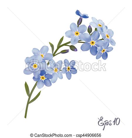 450x470 Branch Of Blue Forget Me Not Flowers. Branch Of Blue Forget Me Not - Forget Me Not Sketch