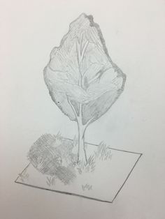 236x314 Fortune Cookie Sketch Art 3 Adv Sketches - Fortune Cookie Sketch