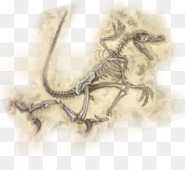 260x240 Fossil Fighters Frontier Atomix Nintendo Sketch - Fossil Sketch