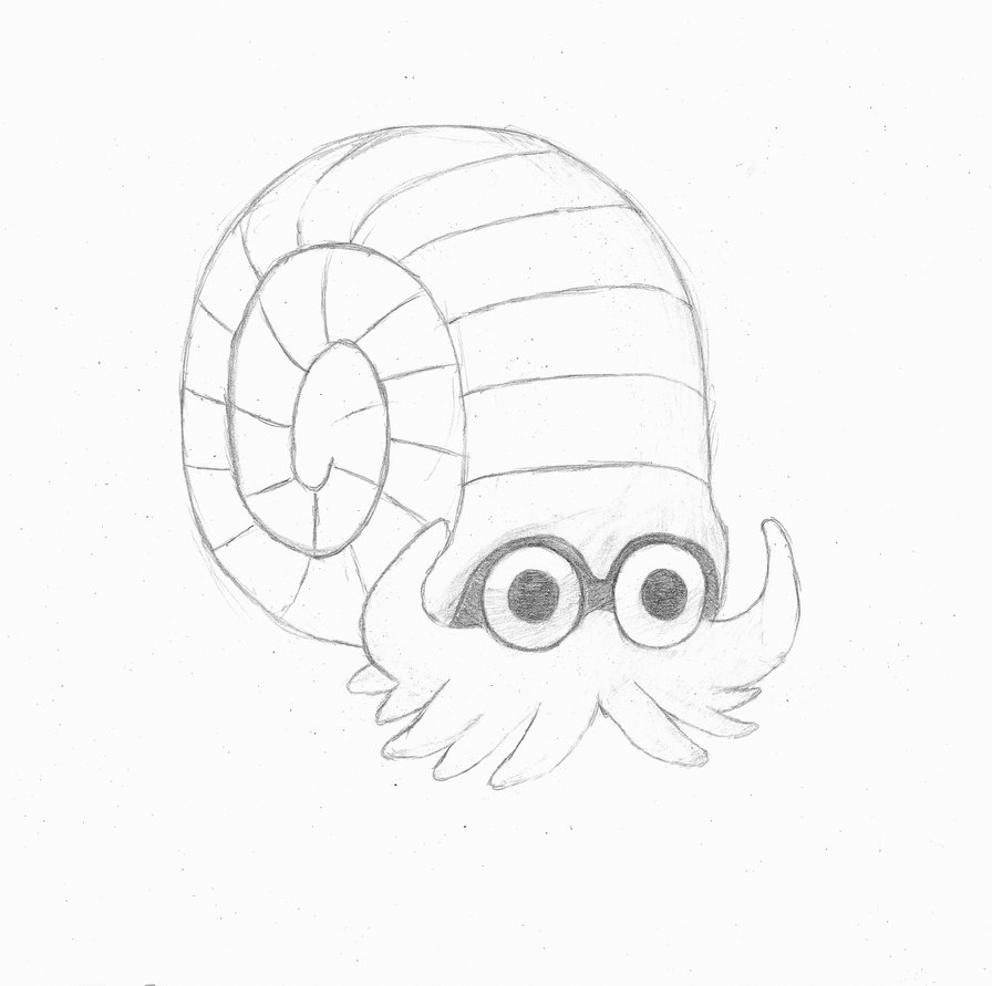 896x891 Helix Fossil Sketch By Silverwinghd - Fossil Sketch