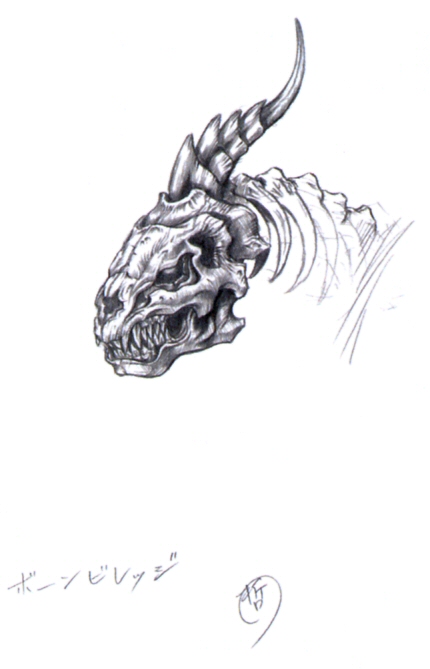 430x669 Image - Fossil Sketch