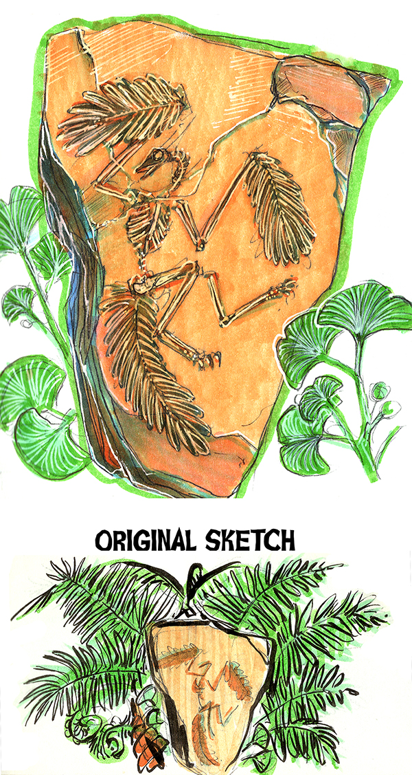 600x1127 Stone Fossil Sketch By Ahkward - Fossil Sketch