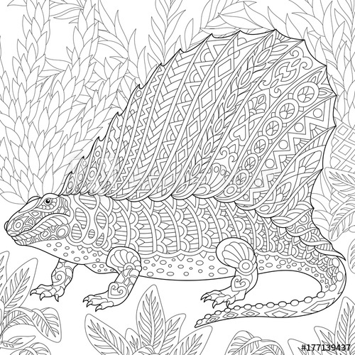 500x500 Coloring - Fossil Sketch