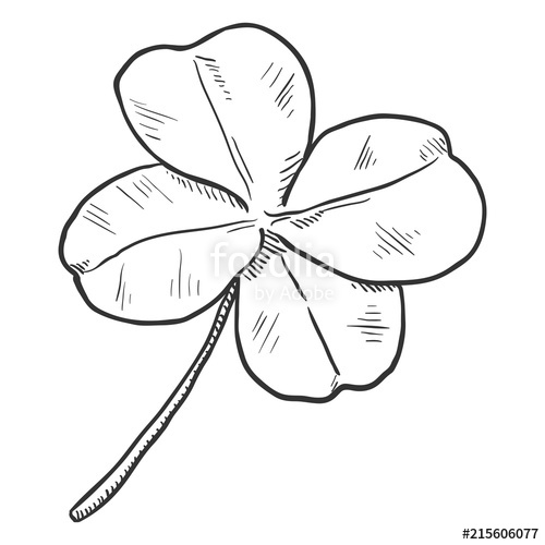 500x500 Vector Black Sketch Illustration - Four Leaf Clover Sketch